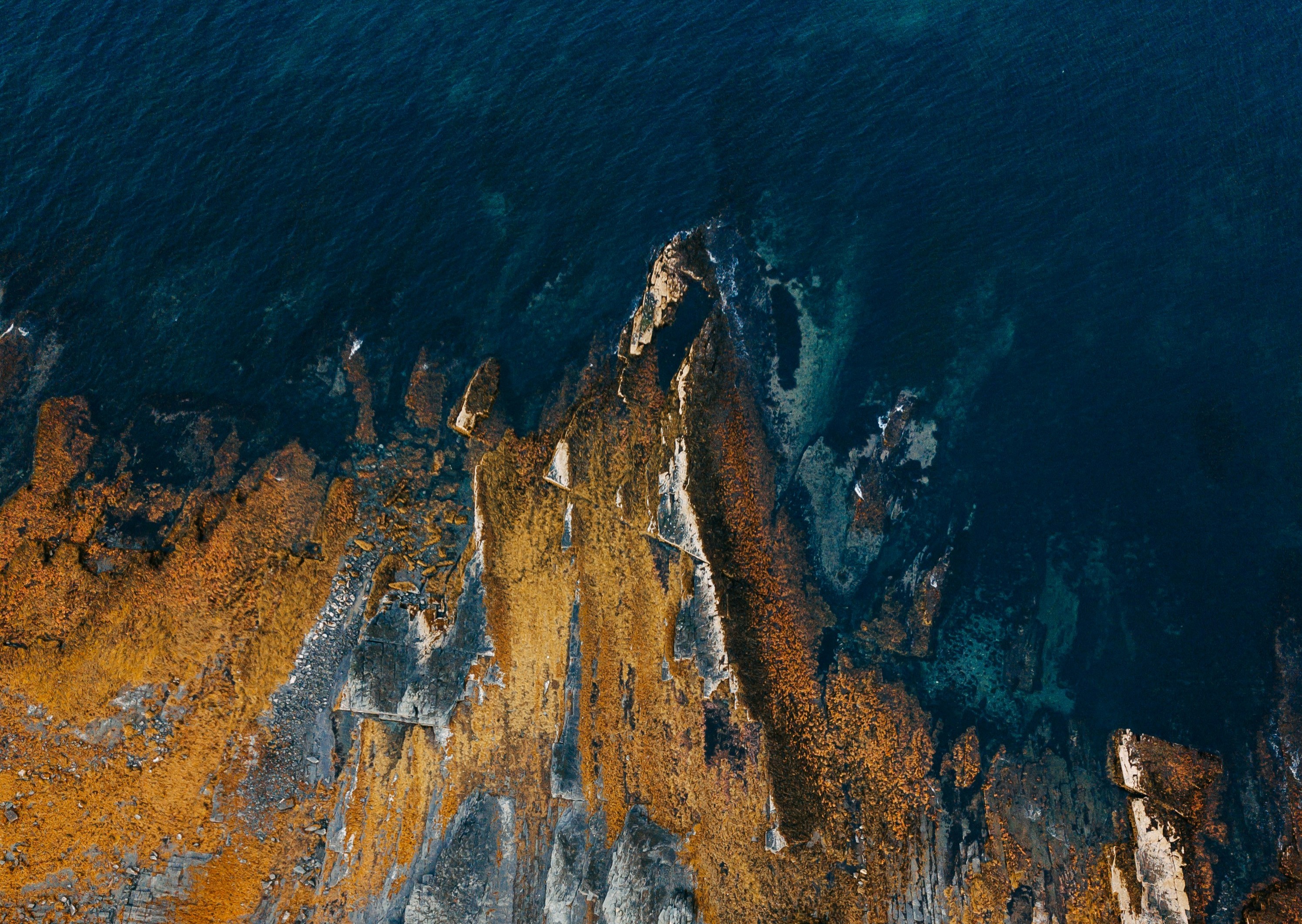 rocky-shore-aerial