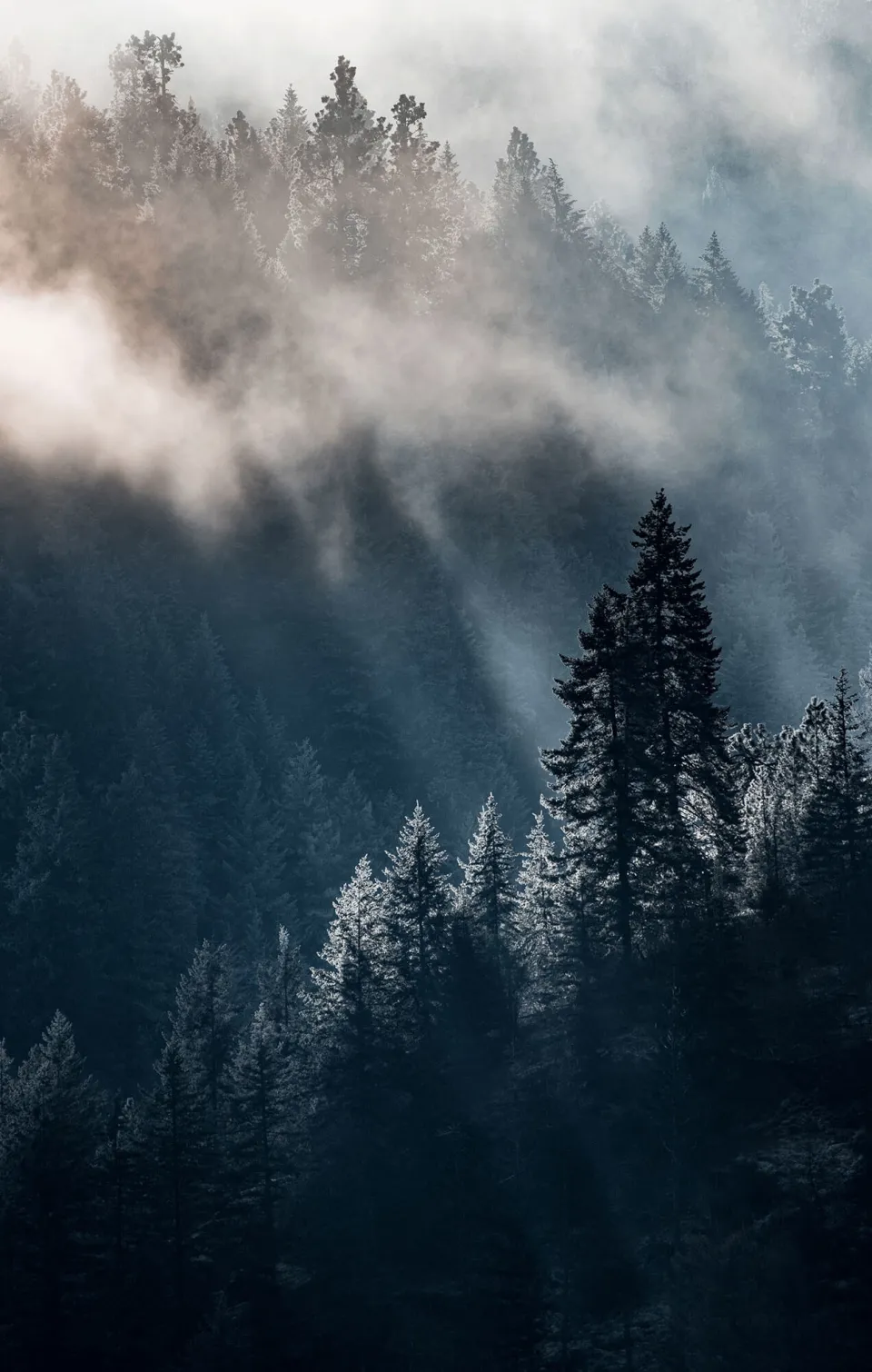 View of a hazy mountainside