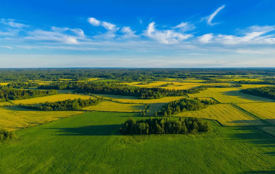 INSIGHTS May 2023 Three Themes Creating Opportunities in Global Real Estate