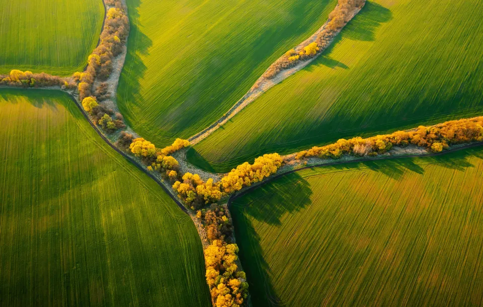 Aerial view of farm fields