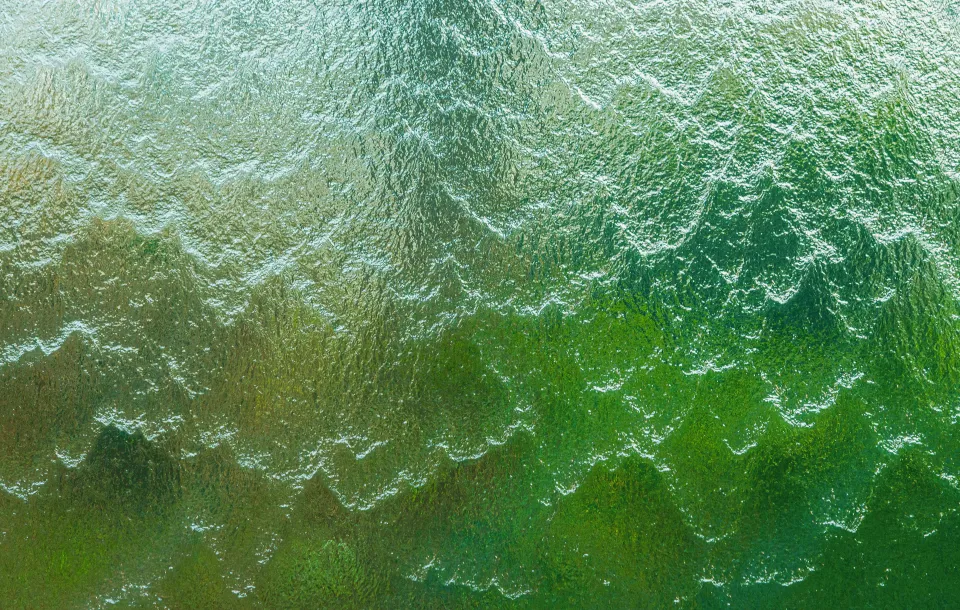 Water