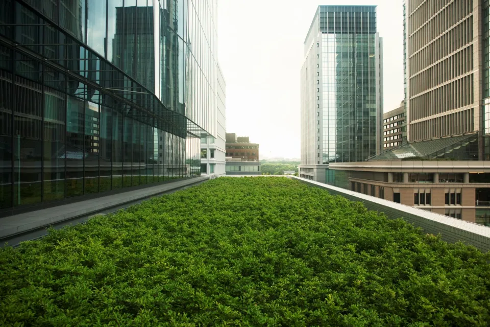 office building greenspace