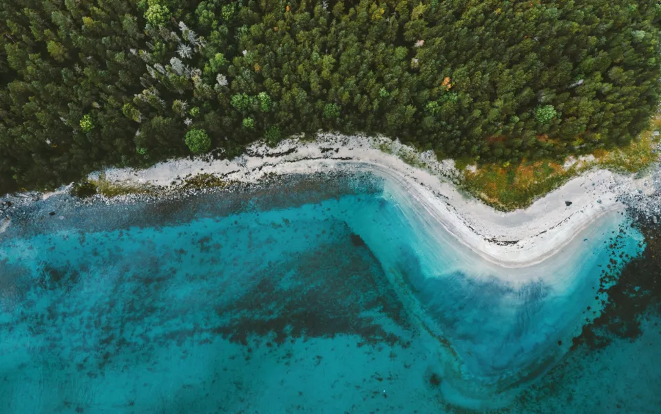 shore-line