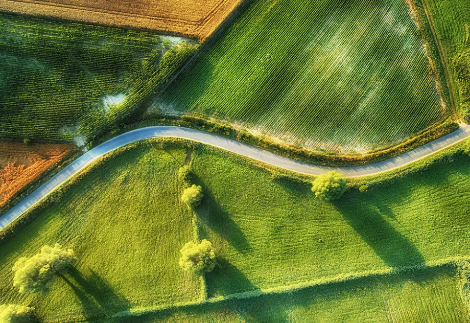 winding-road-ariel-view