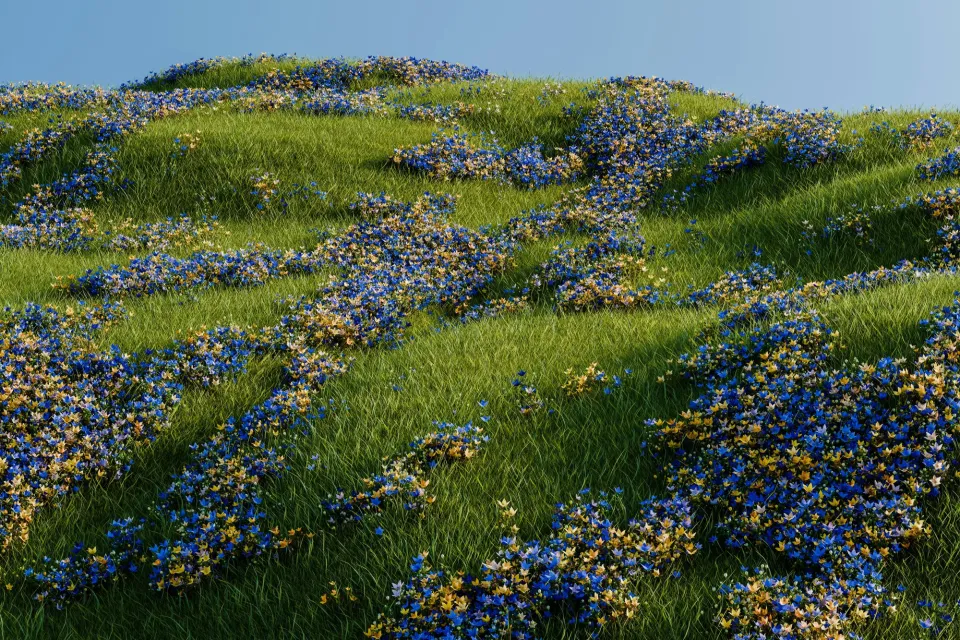 field-with-purple-flowers