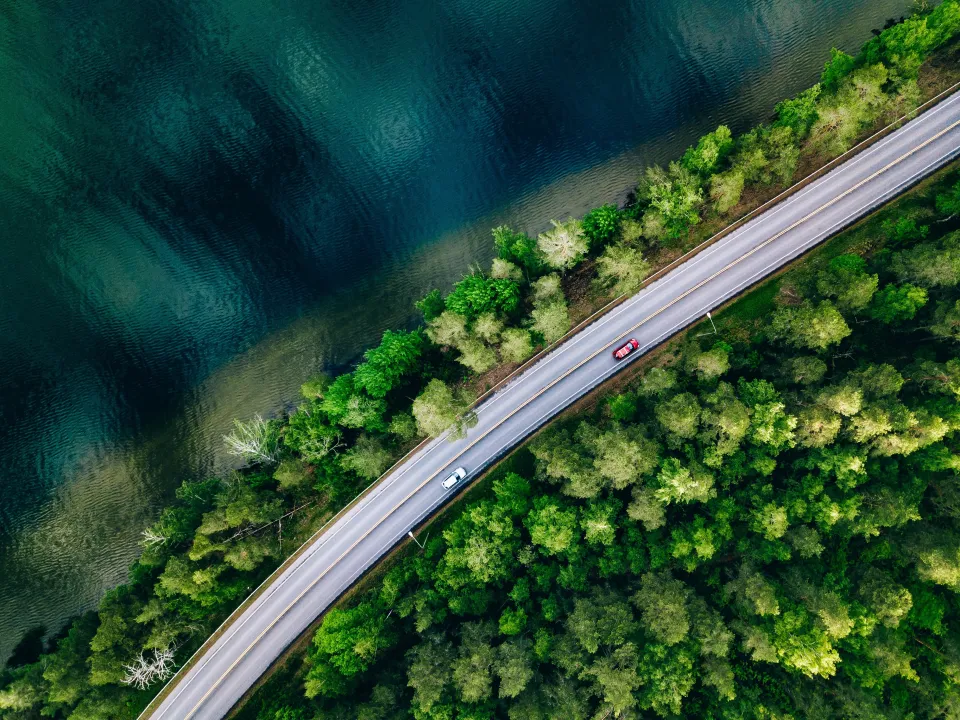 road over trees and water