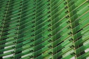 green-window-building