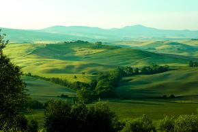 aerial view of forest