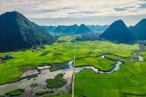 aerial view of forest