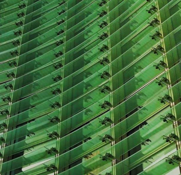 green-window-building