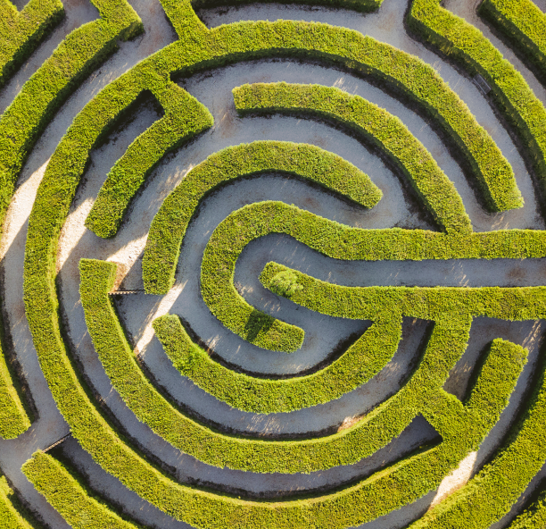 Maze