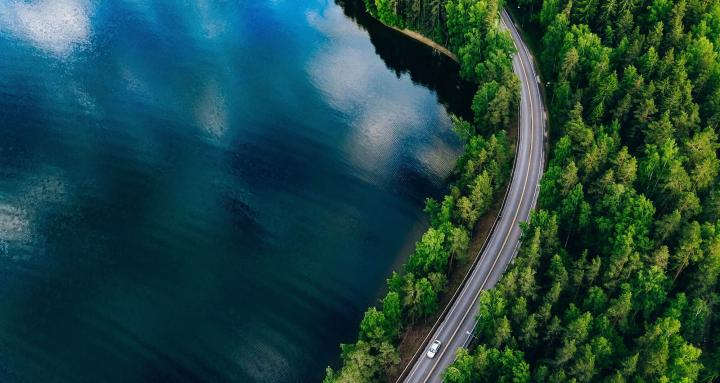 Road Between Lake and Trees