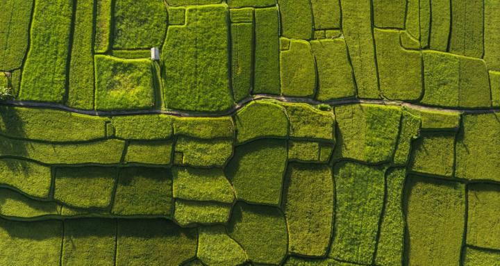 aerial-view-fields
