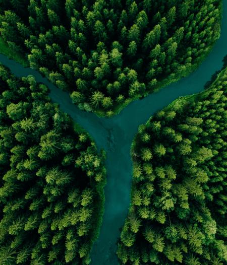 aerial-view-forest-water
